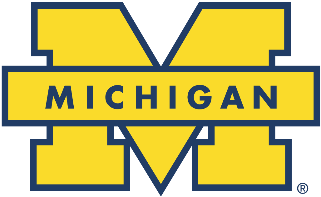 Michigan Wolverines 1996-Pres Secondary Logo diy fabric transfer